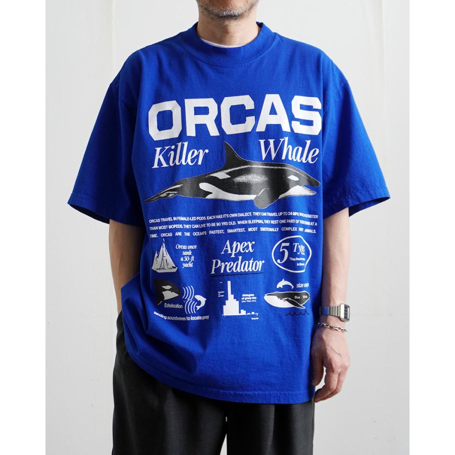 Factual Graphics / Orca Facts T-Shirt ファクチュアル グラフィックス オルカ Tシャツ シャチ ブルー |  | 10