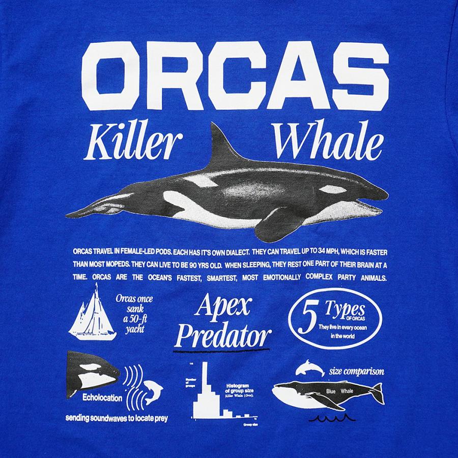 Factual Graphics / Orca Facts T-Shirt ファクチュアル グラフィックス オルカ Tシャツ シャチ ブルー |  | 02