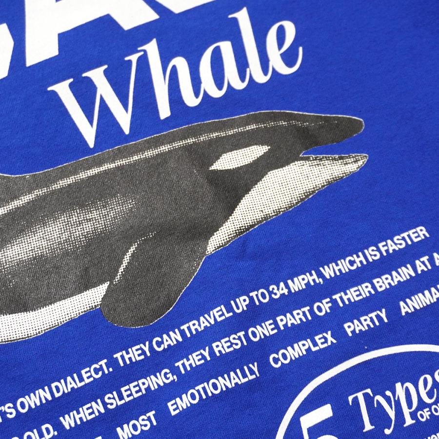 Factual Graphics / Orca Facts T-Shirt ファクチュアル グラフィックス オルカ Tシャツ シャチ ブルー |  | 04