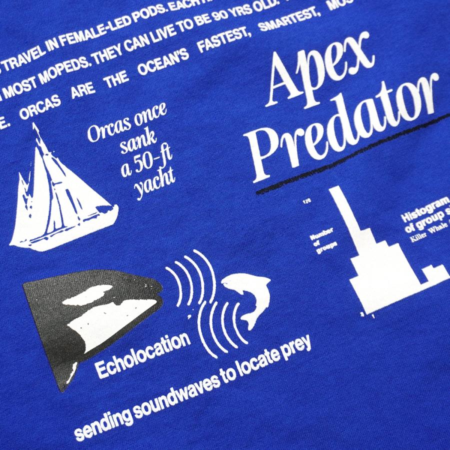 Factual Graphics / Orca Facts T-Shirt ファクチュアル グラフィックス オルカ Tシャツ シャチ ブルー |  | 05