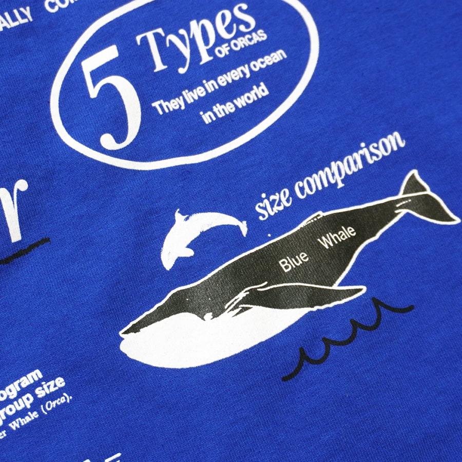 Factual Graphics / Orca Facts T-Shirt ファクチュアル グラフィックス オルカ Tシャツ シャチ ブルー |  | 06