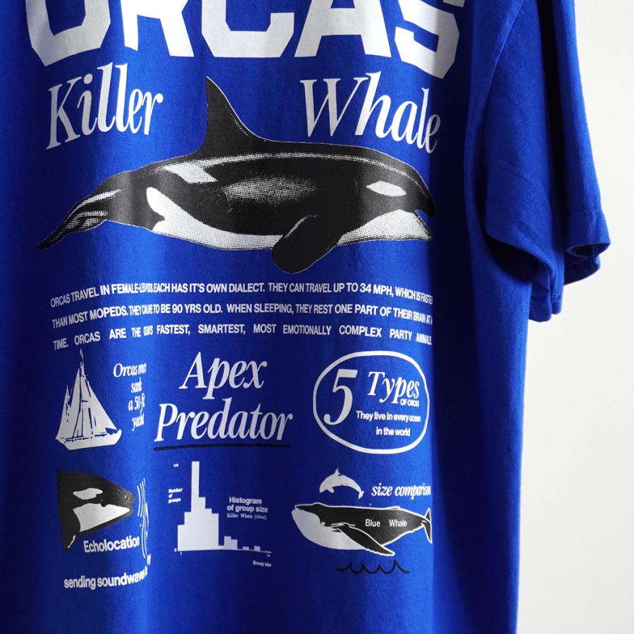 Factual Graphics / Orca Facts T-Shirt ファクチュアル グラフィックス オルカ Tシャツ シャチ ブルー |  | 08