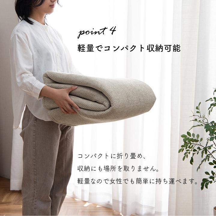 イケヒコ 【シェニールラグ】約180×240cm シェニフ カーペット