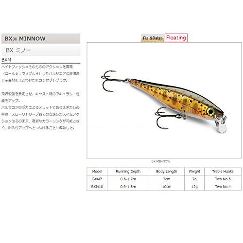 Rapala(ラパラ) ミノー BX ミノー 10cm 12g アユ AYU BXM10-AYU ルアー｜eiai｜02