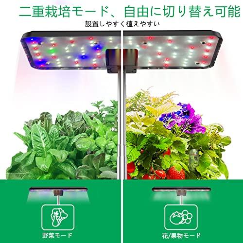JustSmart 水耕栽培キット 室内 水耕栽培 おしゃれ 家庭菜園 JustSmart 水耕栽培キット 室内 水耕栽培 おしゃれ 家庭菜園