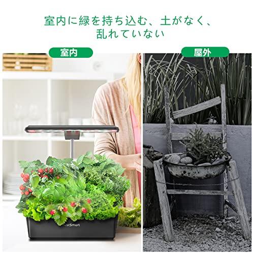 JustSmart 水耕栽培キット 室内 水耕栽培 おしゃれ 家庭菜園 JustSmart 水耕栽培キット 室内 水耕栽培 おしゃれ 家庭菜園