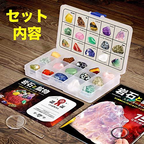 XXTOYS 鉱物標本 コレクションセット 岩石標本 宝石おもちゃ XXTOYS 鉱物標本 コレクションセット 岩石標本 宝石おもちゃ
