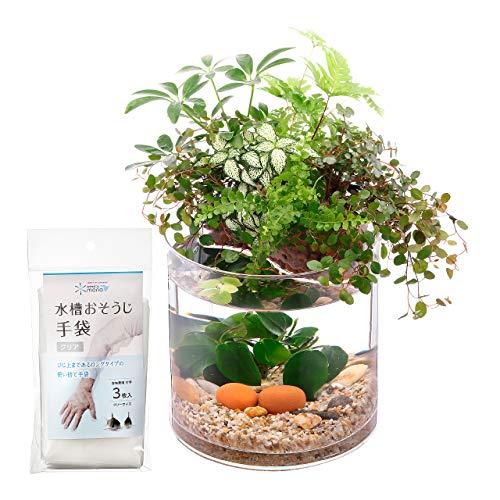 アクアテリア P150S ベタ用(ガラス水槽と水耕栽培プランター アクアテリア P150S ベタ用(ガラス水槽と水耕栽培プランター