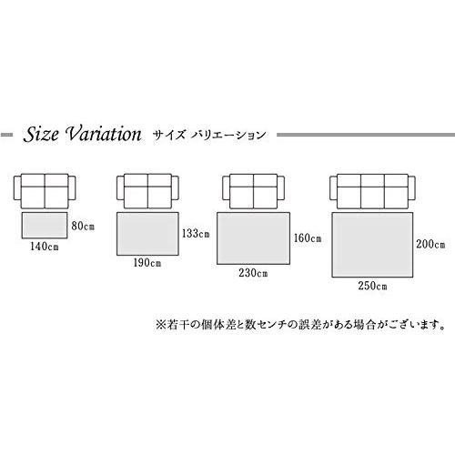 イケヒコ・コーポレーション ラグ カーペット トルコ製 ウィルトン織り イビサ ギャッペ調ラグ 約160×230cm レッド 抗菌防臭 消臭機能 へた｜eiai｜07