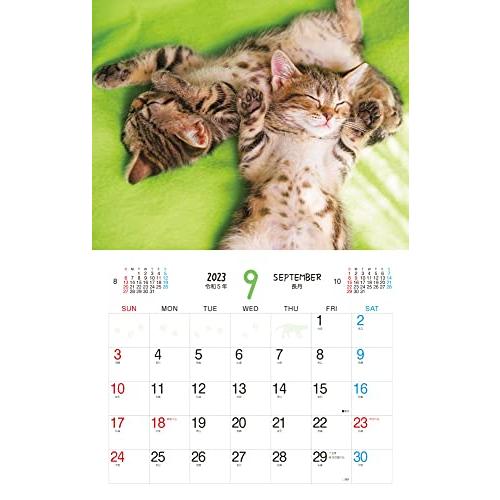ふわふわこにゃんこ (インプレスカレンダー2023) : 栄光 - 通販