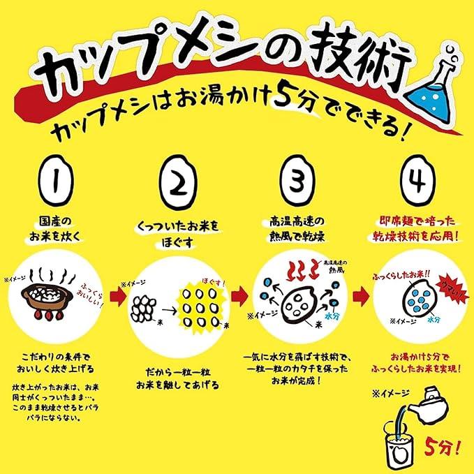 日清カレーメシ カップご飯詰め合わせ 10食 (日清 ぶっこみ飯3種 日清