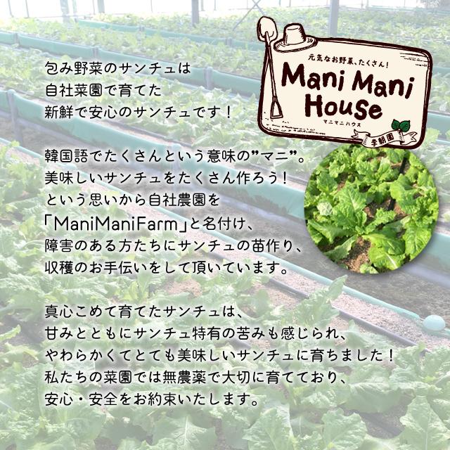 サムギョプサルセット 400g 韓国食品 お取り寄せ 母の日 ギフト 焼肉セット 焼肉 サムギョプサル 肉 韓国料理 ミールキット お試し 豚肉 豚バラ |  | 05