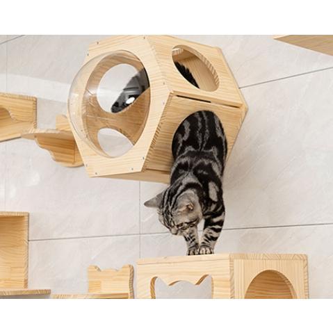 キャットステップ 壁付け 猫用 ハウス ハンモック キャットウォーク 壁
