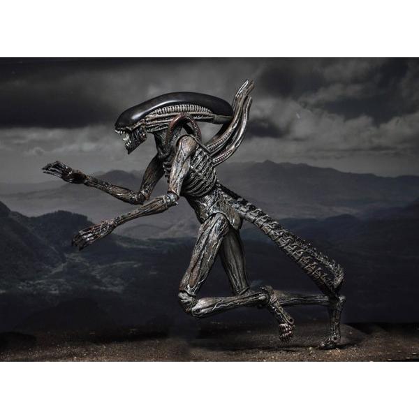 新品 ネカ エイリアン コヴェナント 7インチ アクションフィギュア ゼノモーフ Promodiscoverychannel Memo Ua