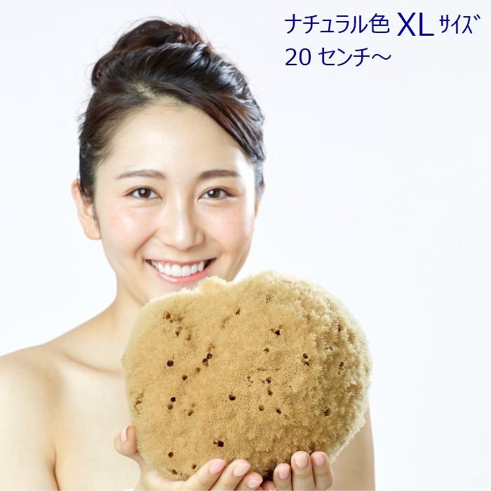 海綿 スポンジ シルク種 ナチュラル色 XL 乾燥時20cm〜 ボディケア 美肌_1