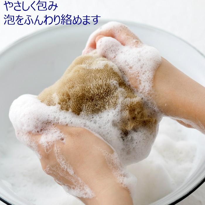 海綿 スポンジ シルク種 ナチュラル色 XL 乾燥時20cm〜 ボディケア 美肌_6