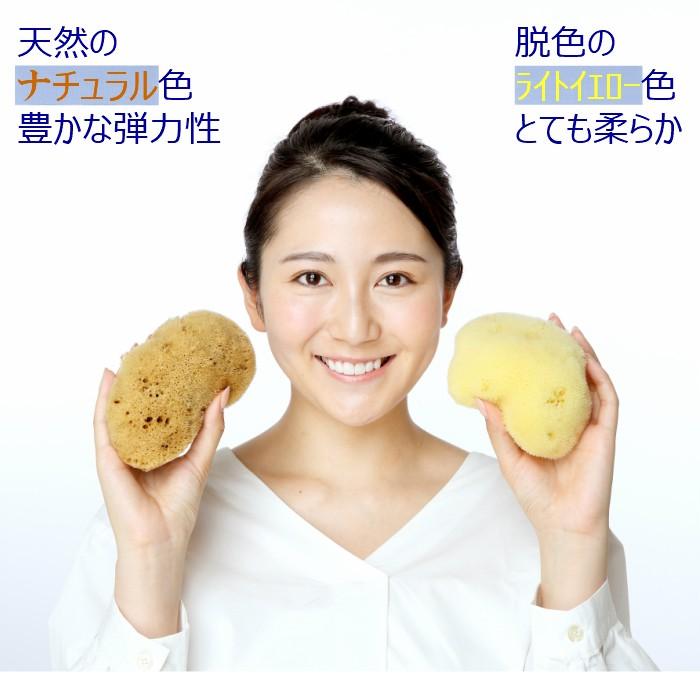 海綿 スポンジ シルク種 ナチュラル色 M 乾燥時12〜15cm ボディ洗い