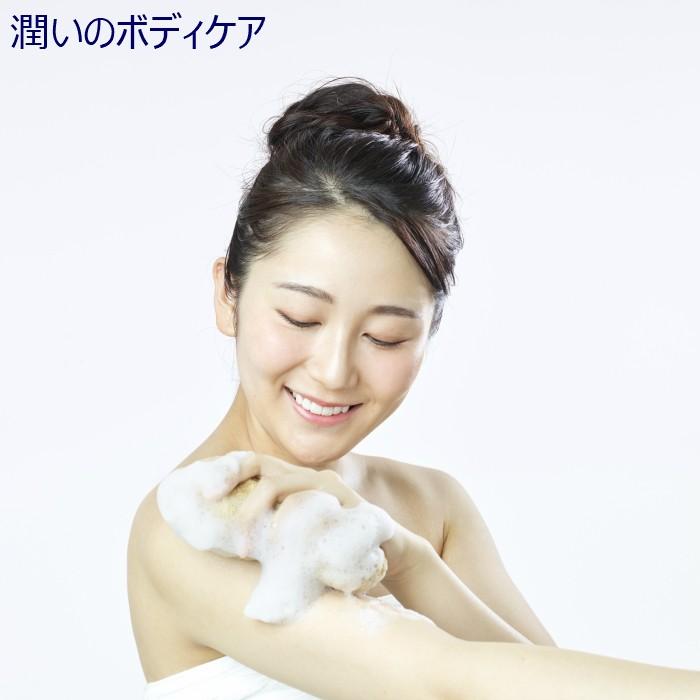 海綿 スポンジ シルク種 ナチュラル色 M 乾燥時12〜15cm ボディ洗い