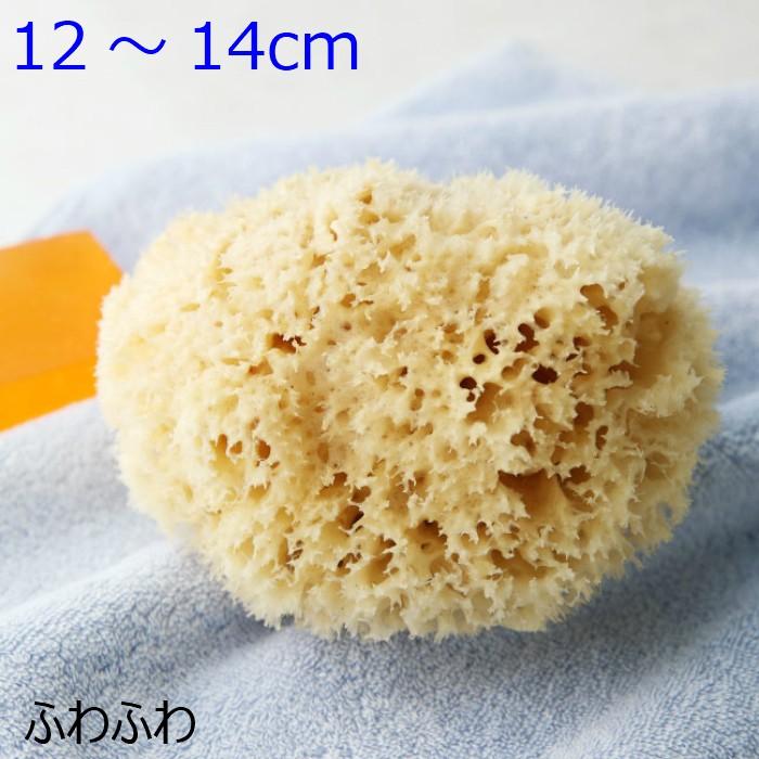 海綿 スポンジ ハニコム種 ライトイエロー色 M 乾燥時12〜14cm