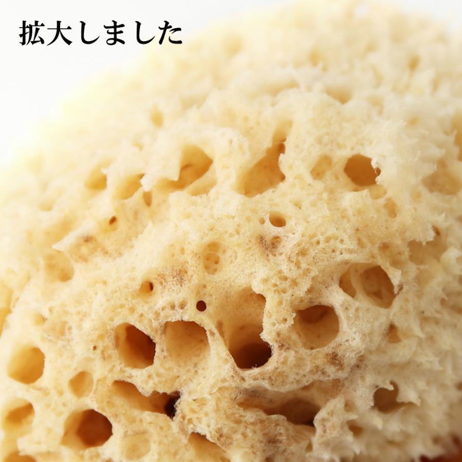 海綿 スポンジ ハニコム種 ライトイエロー色 M 乾燥時12〜14cm