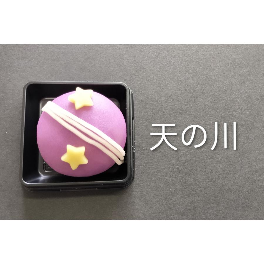 7月の上生菓子　詰め合わせ選べる10個入り　 |  | 02
