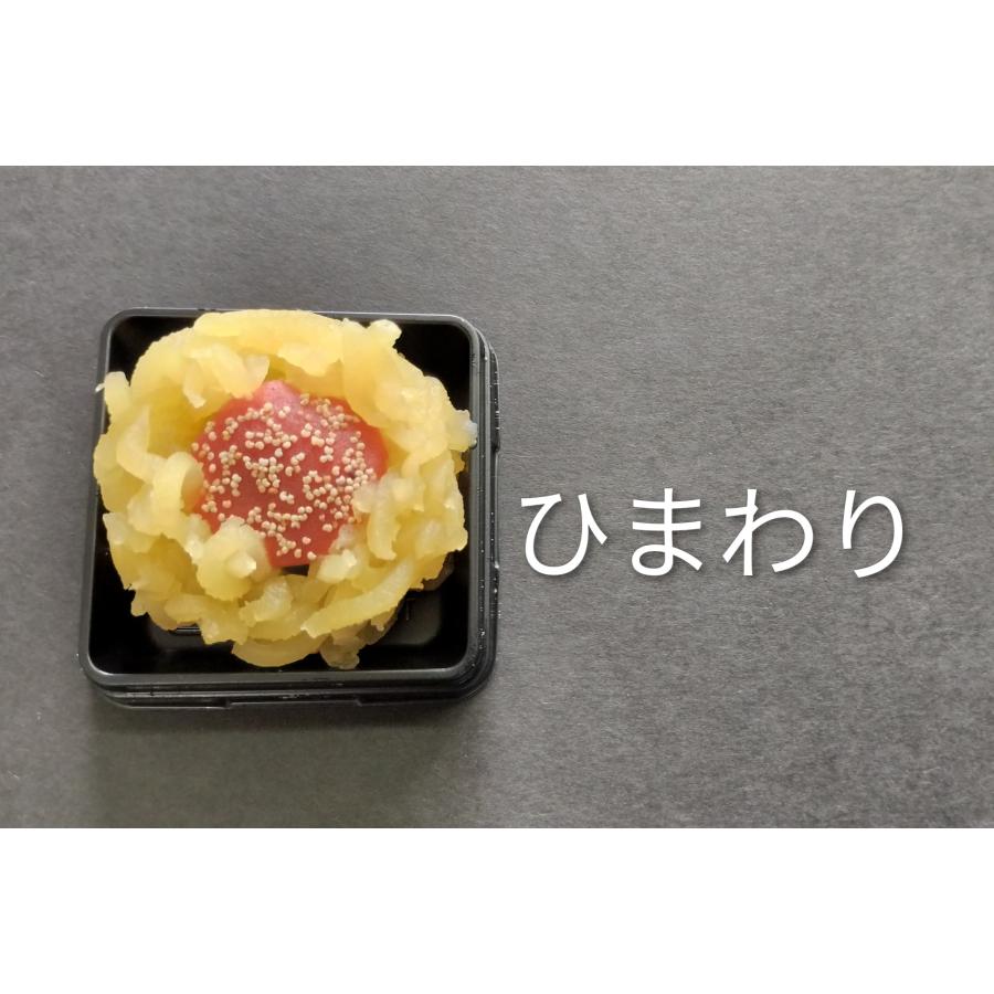7月の上生菓子　詰め合わせ選べる10個入り　 |  | 03