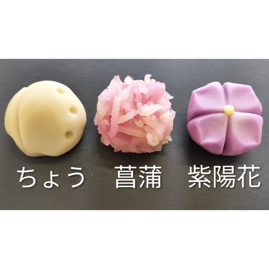 四季彩彩　特選12種 送料無料 |  | 02