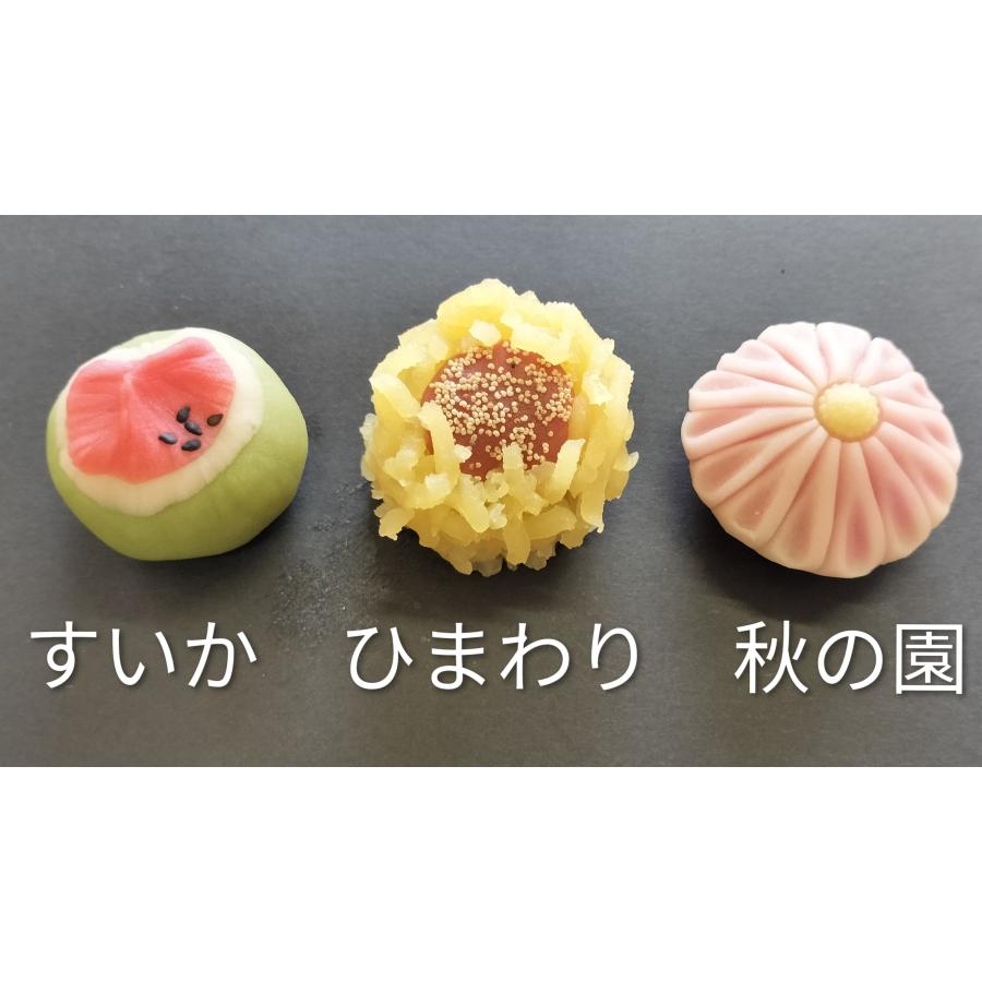 四季彩彩　特選12種 送料無料 |  | 03