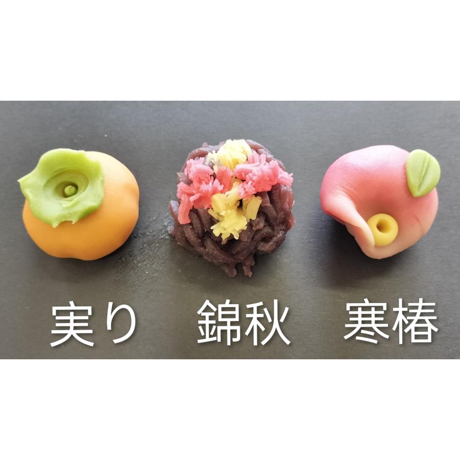 四季彩彩　特選12種 送料無料 |  | 04