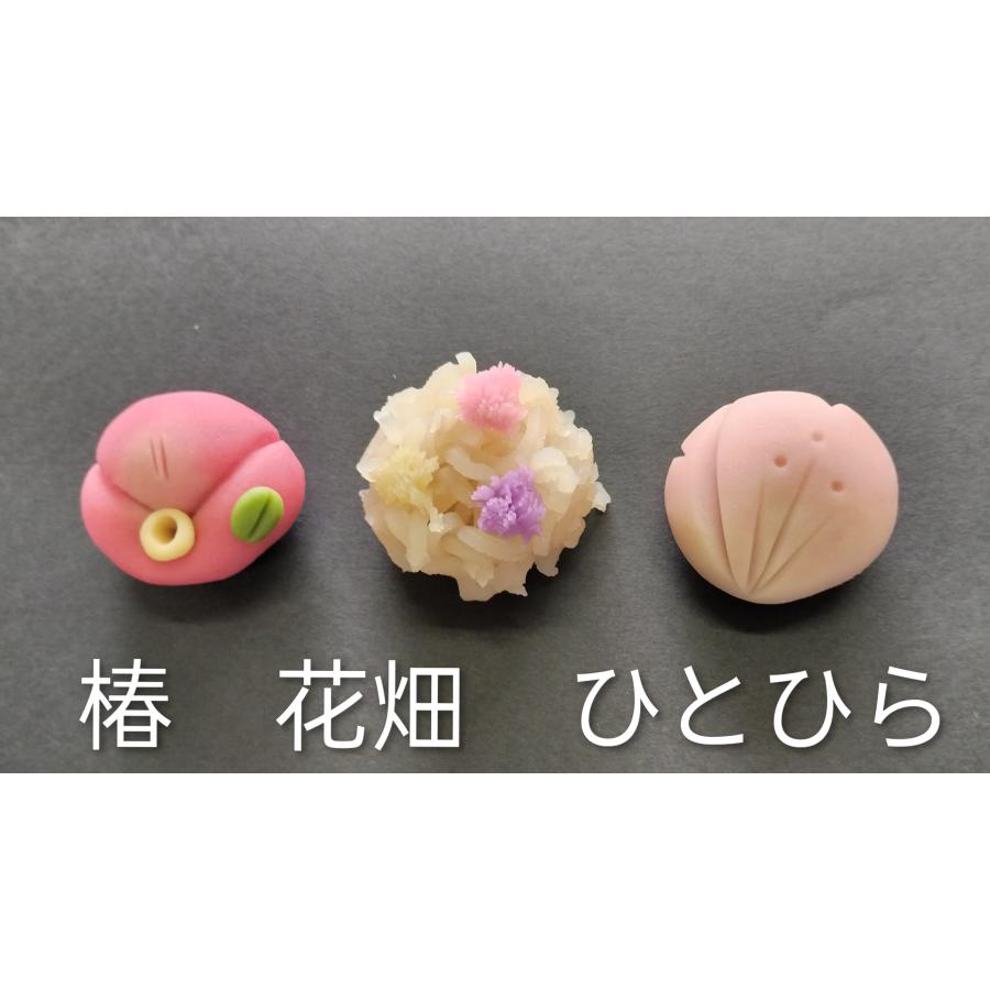 春の12種　特選上生菓子 |  | 01