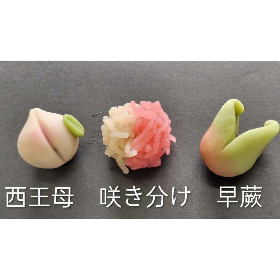 春の12種　特選上生菓子 |  | 02