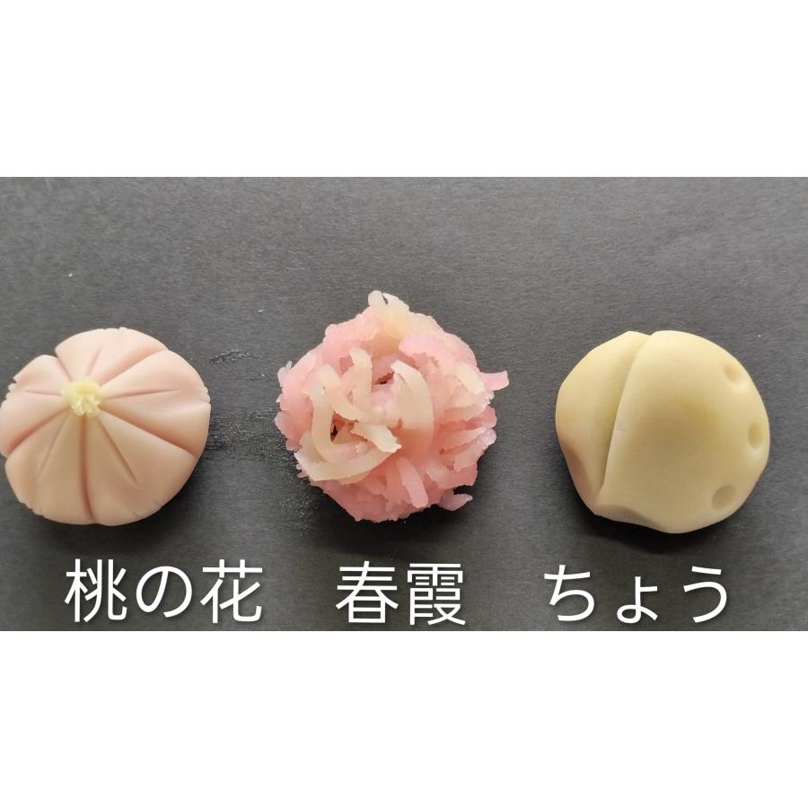 春の12種　特選上生菓子 |  | 03