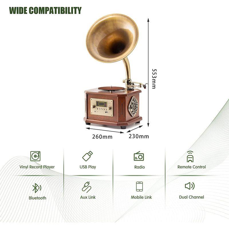 最高 のテレビ、オーディオ、カメラ - HOFEINZ 天然木材 蓄音機 純銅