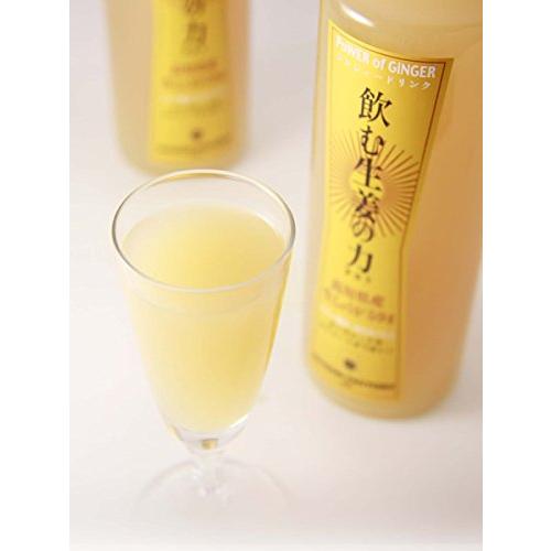 セゾンファクトリー 飲む生姜の力 265ml 高知県産生姜使用 はちみつ