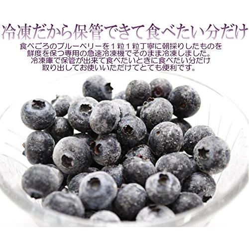 ブルーベリー 国産 2kg 東北産 冷凍 : eight cat - 通販 - Yahoo
