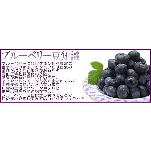 ブルーベリー 国産 2kg 東北産 冷凍 : eight cat - 通販 - Yahoo