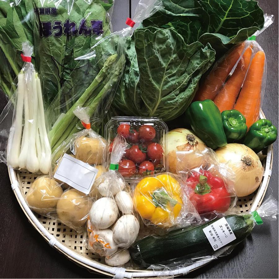 芋屋久兵衛 野菜セット 茨城県・千葉県産 農家さん直送野菜 10品目