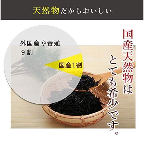 ひじき 国産 乾燥 山口県周防大島産 天然ひじき 35g 2袋セット 無添加