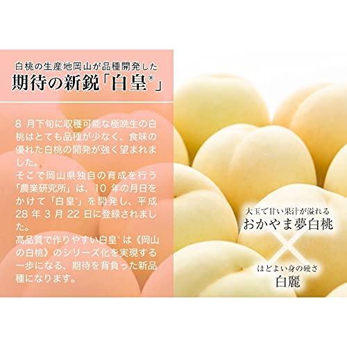 岡山県産白桃 白皇 ロイヤル 6個入り 桃 白皇 はくおう 岡山白桃 ロイヤル 4〜6玉 1kg 岡山県産 JAおかやま