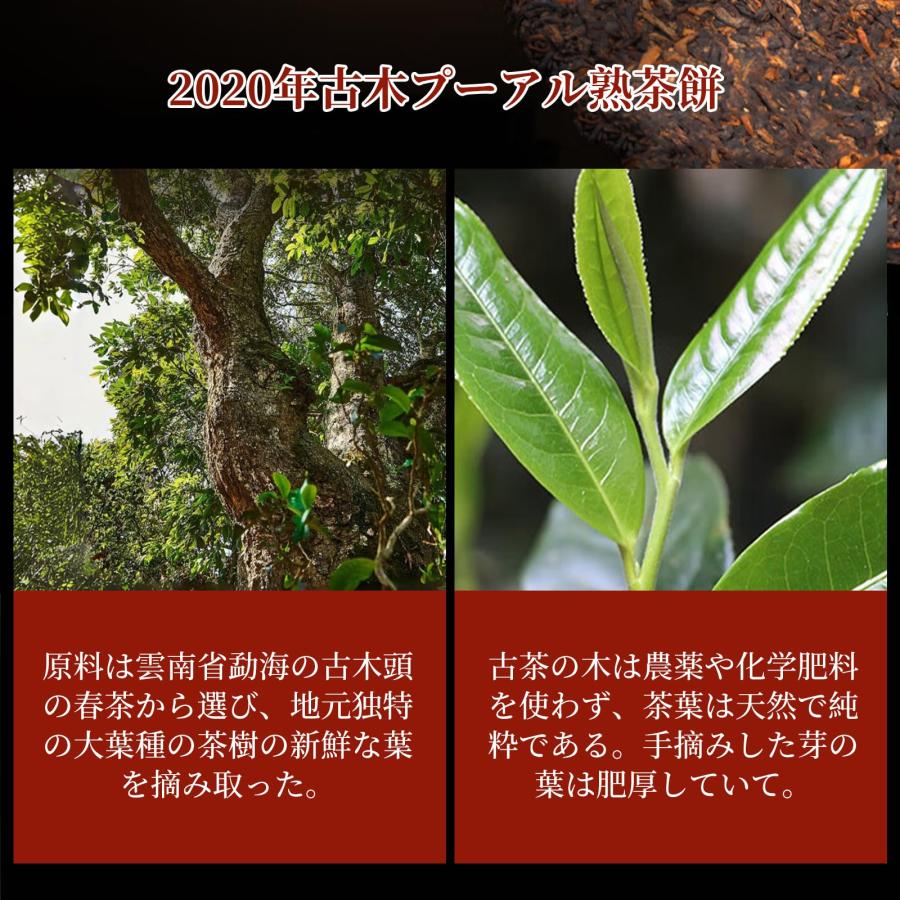 XIXICHA 普?茶 プーアル 茶 典藏普?熟茶餅 357g 2020年産 特級古木