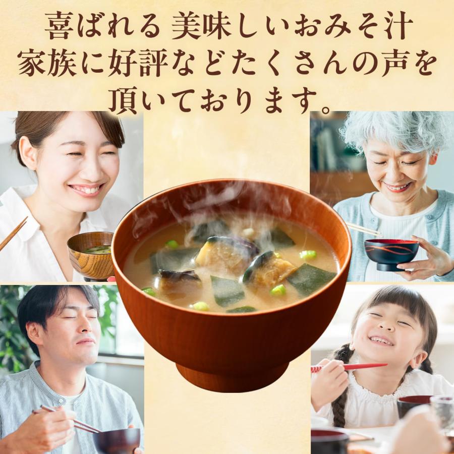 世田谷自然食品 極みのだし おみそ汁 (10種のバラエティ×各3食セット