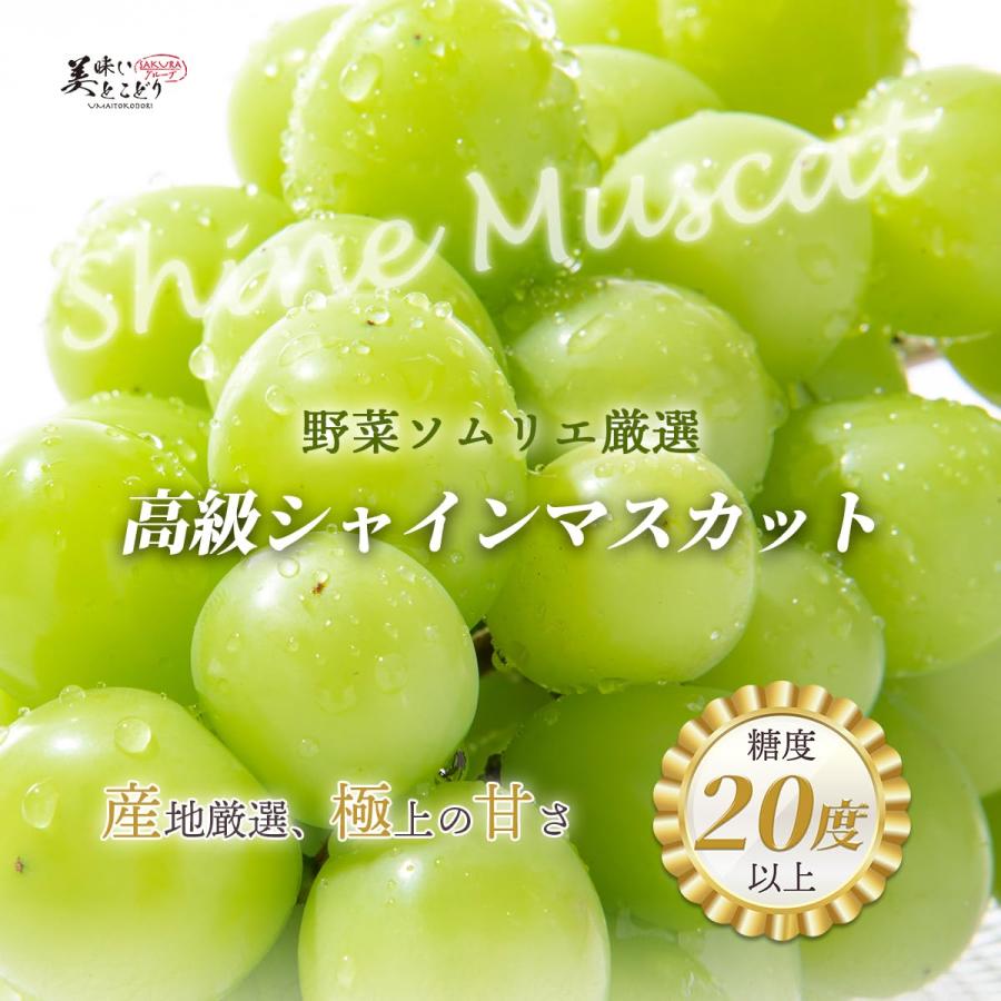 美味いとこどり 高級 シャインマスカット 高糖度平均20度 野菜ソムリエ