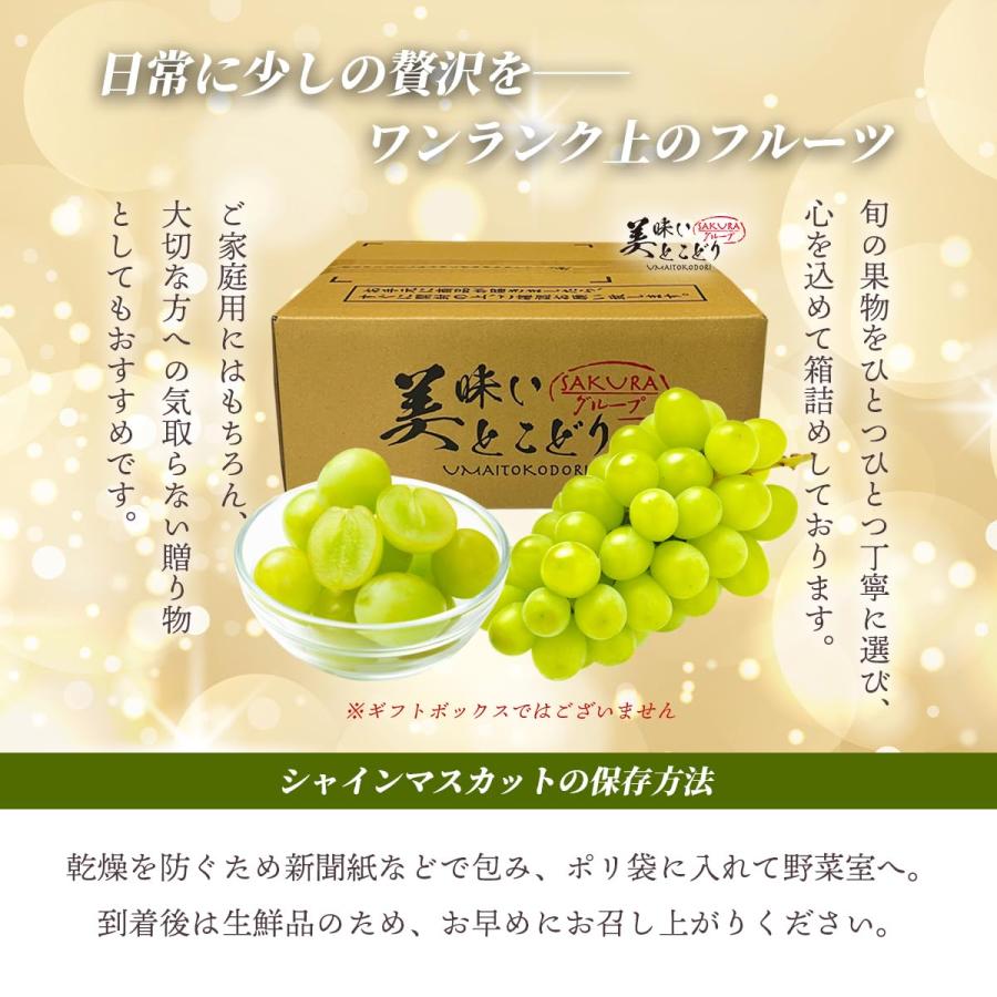 美味いとこどり 高級 シャインマスカット 高糖度平均20度 野菜ソムリエ