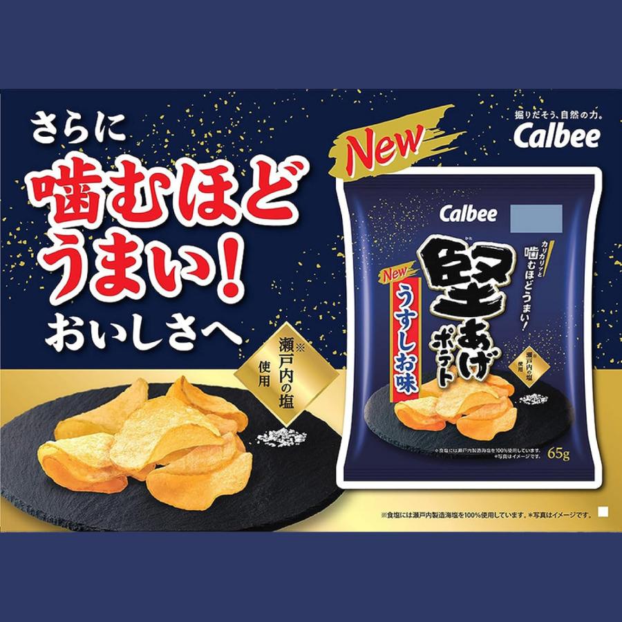 ポテトチップス 堅あげポテト うすしお 各6袋 計12袋 アソート セット