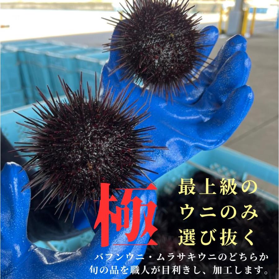 無添加 塩水ウニ マグカップ(60g)/ミョウバン不使用 雲丹 うに ウニ