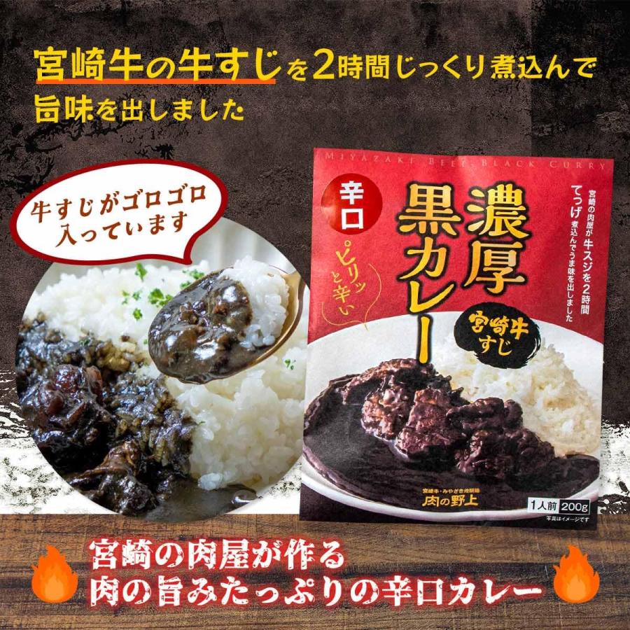 野上食品 宮崎牛 濃厚黒カレー 辛口 200g×3個 : eight cat - 通販