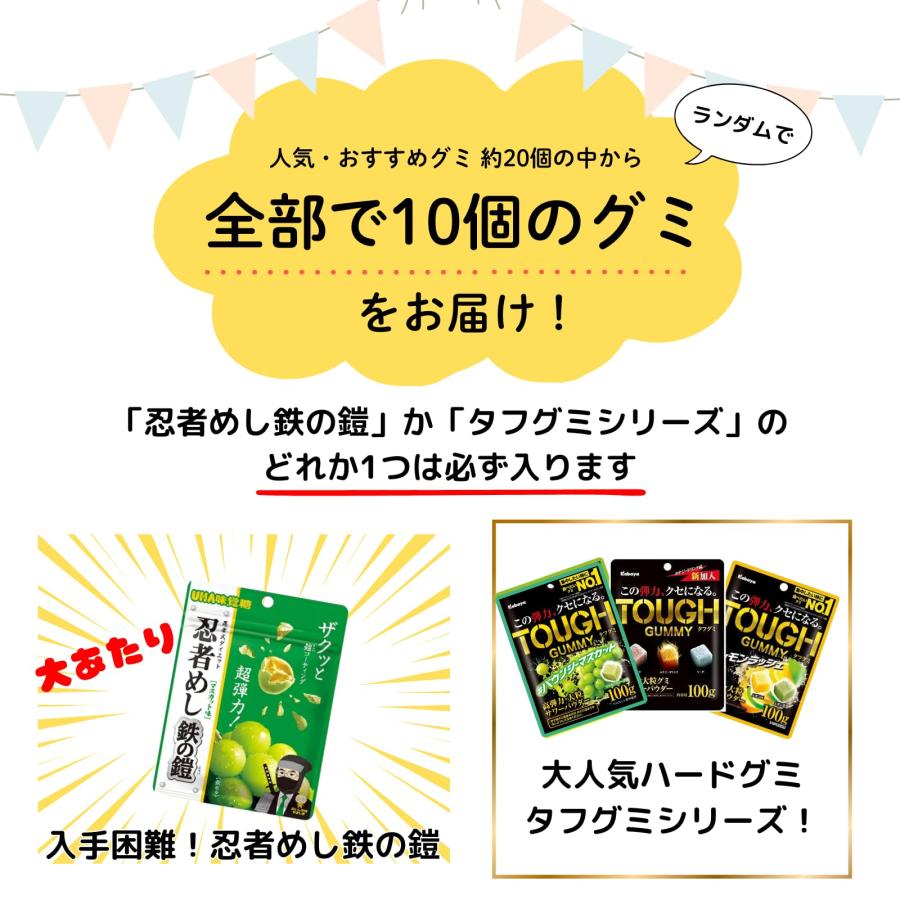 人気 ハード グミ 詰め合わせ ランダム 10種 計 10個 タフグミ 忍者