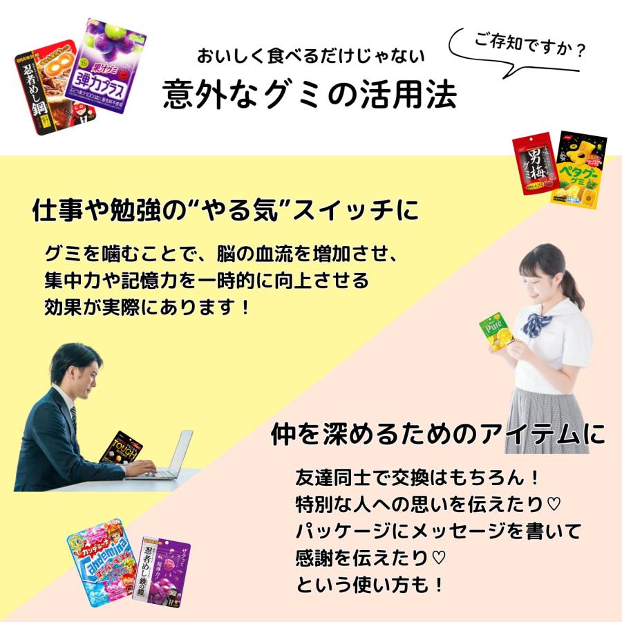 人気 ハード グミ 詰め合わせ ランダム 10種 計 10個 タフグミ 忍者