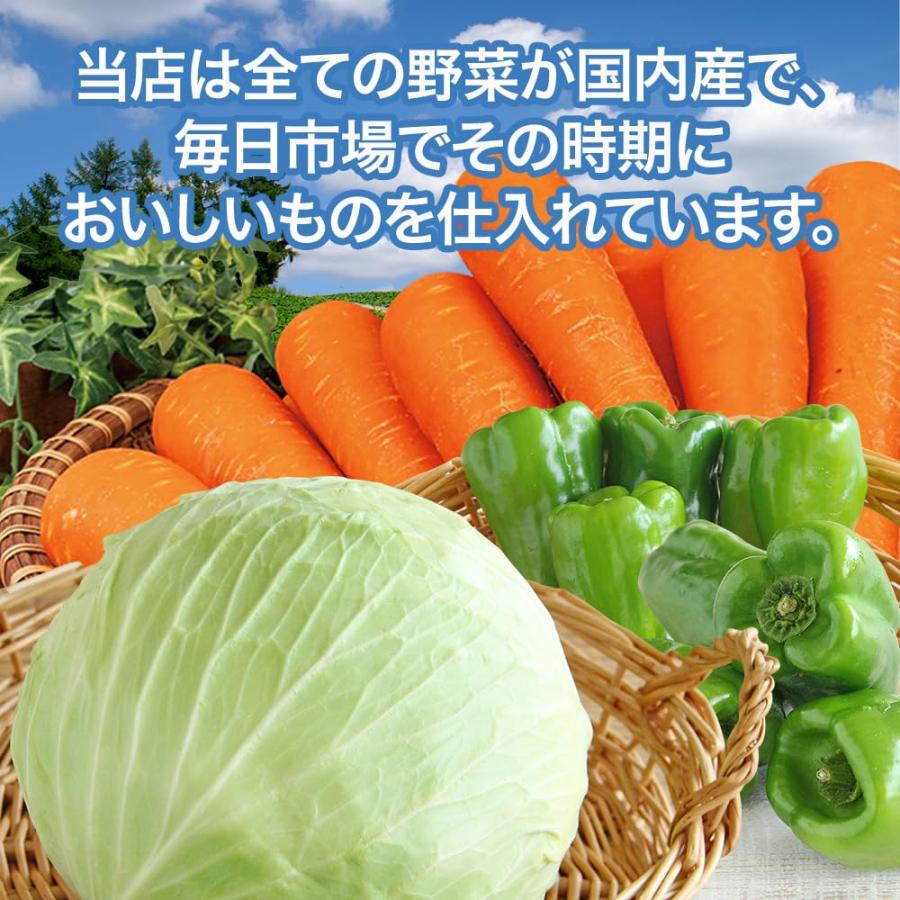 3種野菜セット（キャベツ・ピーマン・にんじん）3種セット 野菜セットA