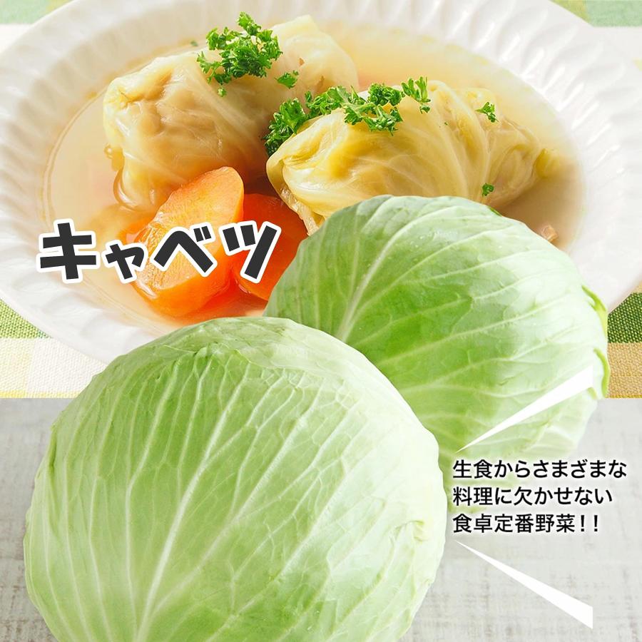 3種野菜セット（キャベツ・ピーマン・にんじん）3種セット 野菜セットA